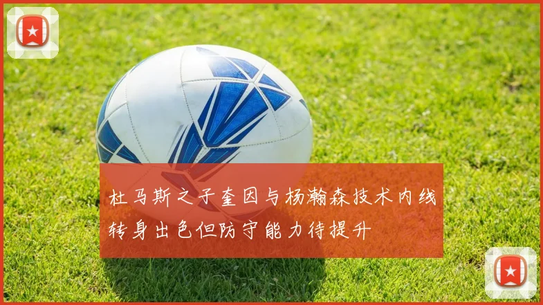 杜马斯之子奎因与杨瀚森技术内线转身出色但防守能力待提升