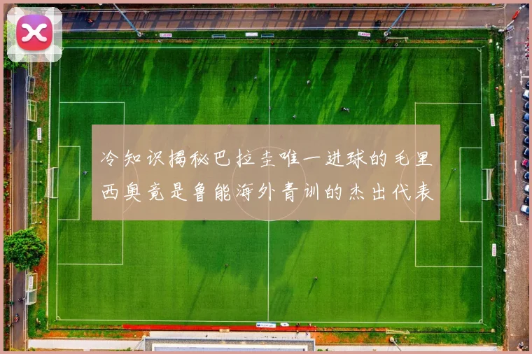 冷知识揭秘巴拉圭唯一进球的毛里西奥竟是鲁能海外青训的杰出代表