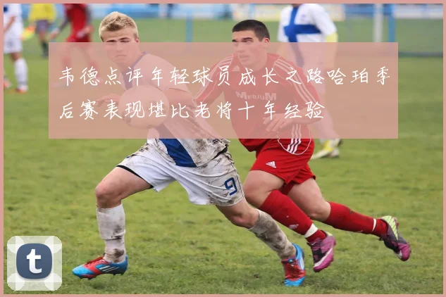 韦德点评年轻球员成长之路哈珀季后赛表现堪比老将十年经验